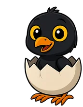 Level 3 crow badge